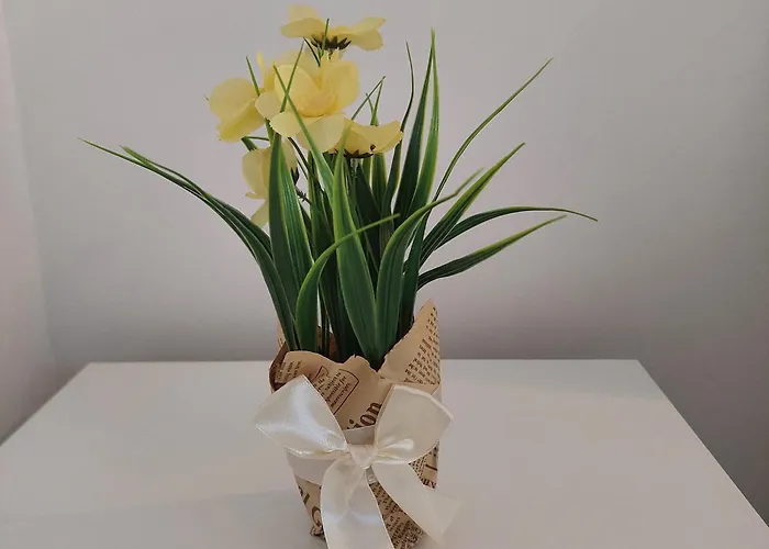 Comfort Lovely Diva 4, Ciovo, Okrug تروغير